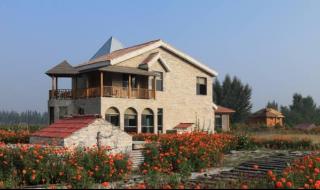 世界上最强大的火车