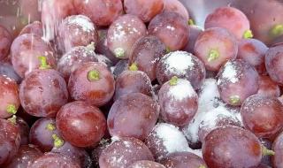 中国十大放心食用盐 中国十大放心食用盐