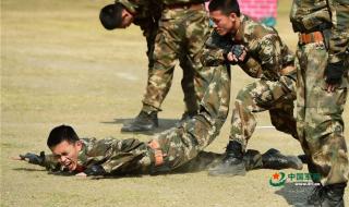 中国武警格斗术