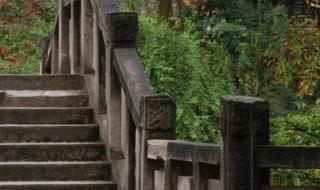 四川国际标榜学院 四川国际标榜学院