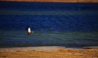 中国海拔最高的县城