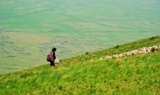 一箱矿泉水多少钱