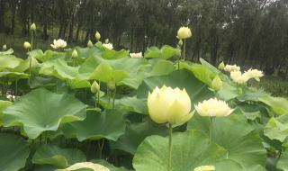 枣庄汽车站 枣庄汽车站