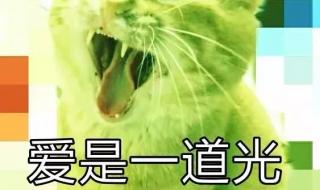 广东多地遭遇高温天气 广东多地遭遇高温天气