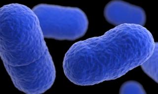 香肠派对为何下架 香肠派对为何下架